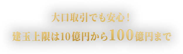大口取引でも安心！建玉上限は10億円から100億円まで