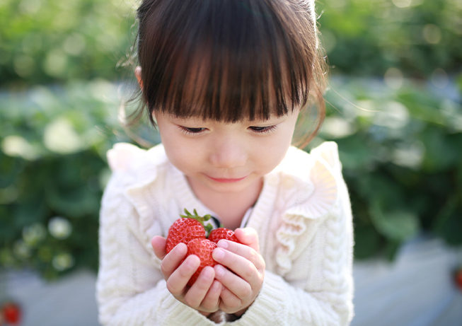 一般NISAで挑戦したい「高配当銘柄」のご紹介